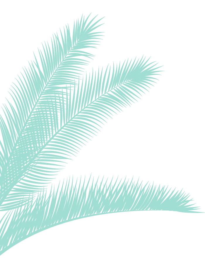 Palm-Leaf